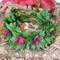 Hawaiian Plumeria Flower Hair Accessories Green flower beach crown Pink Tropical Floral Headpiece (hot pink flower, M)